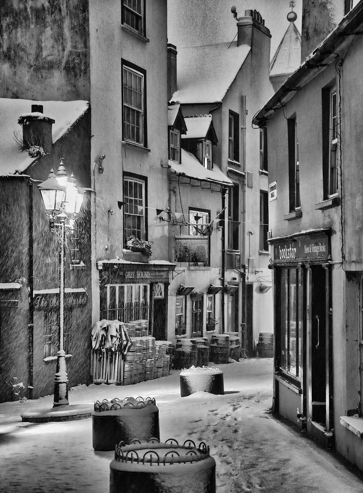 The greyhound Kinsale under snow, 2018 Ireland