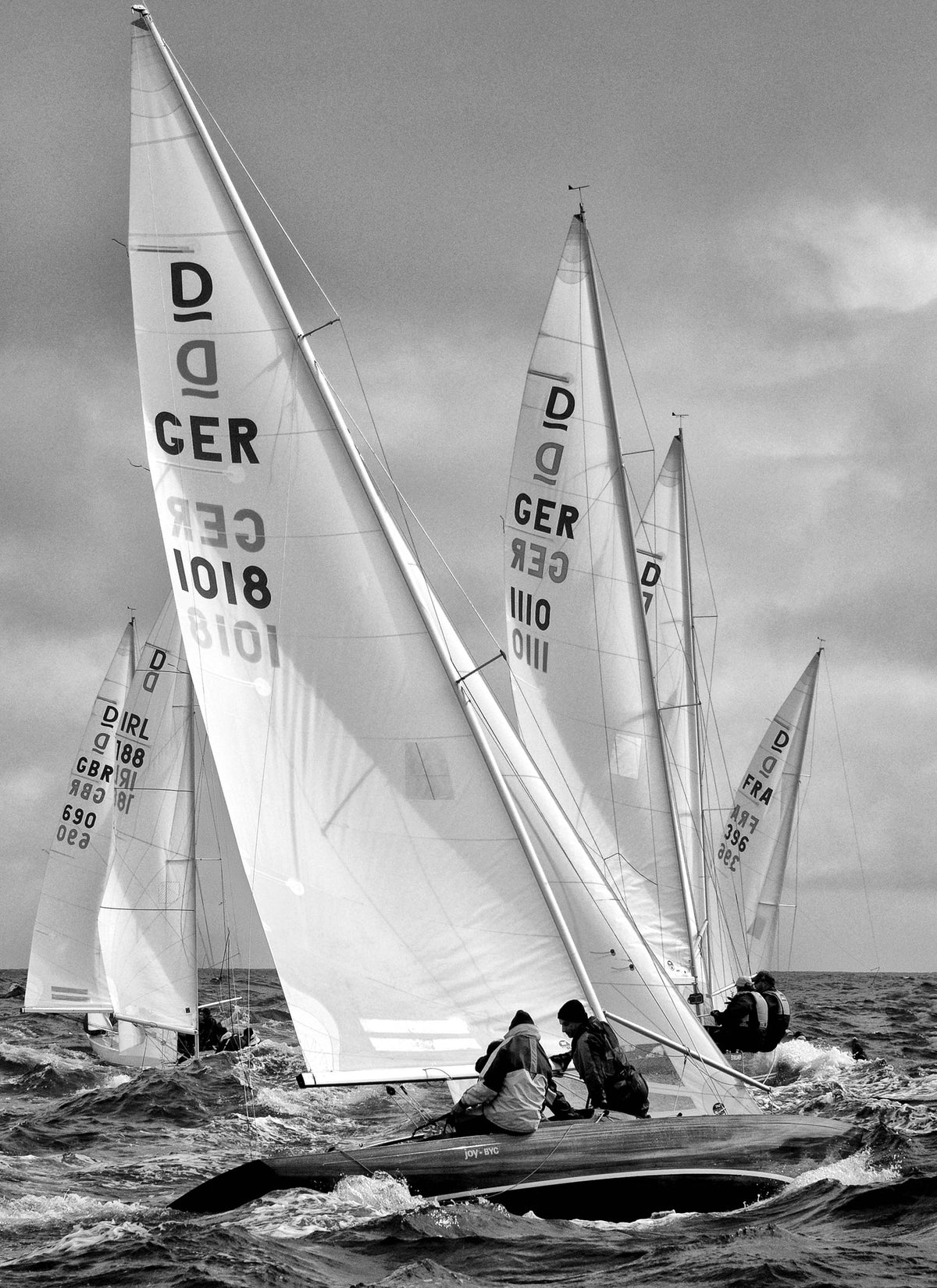 Kinsale Dragons Ireland 2012