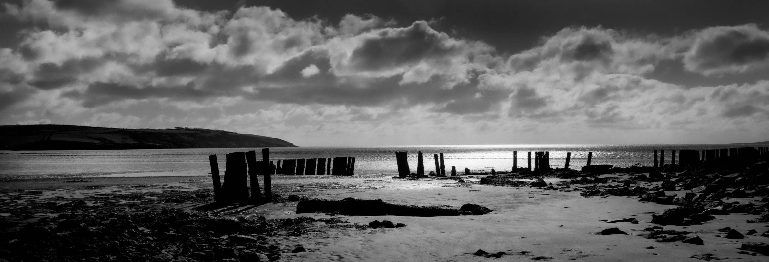 Harbour View