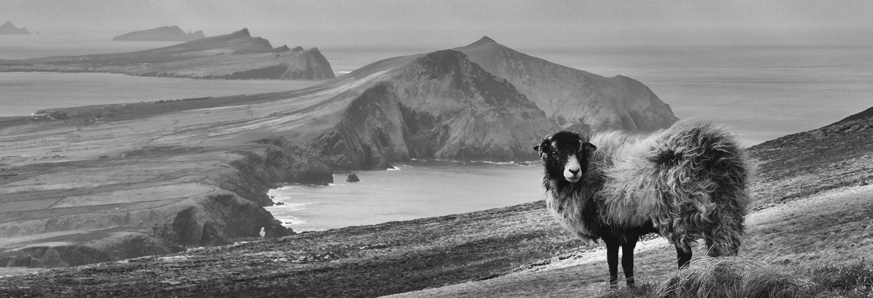 Dingle Peninsula