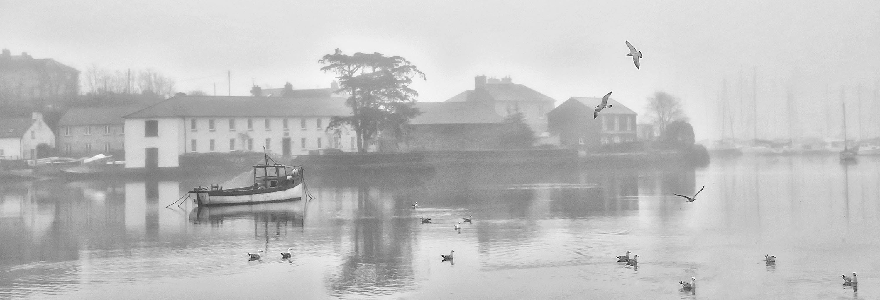 Misty Morning 