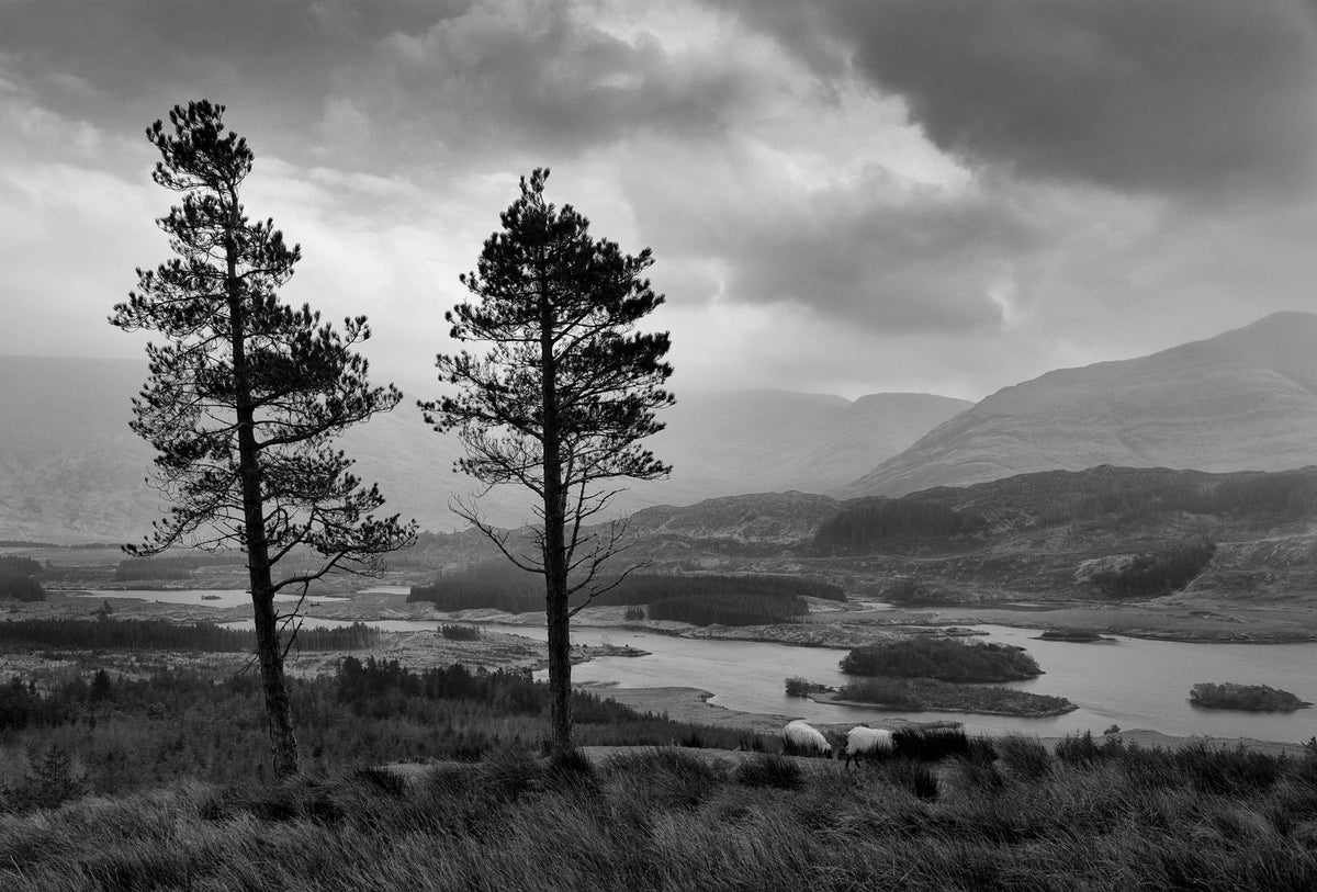 Lough Mask