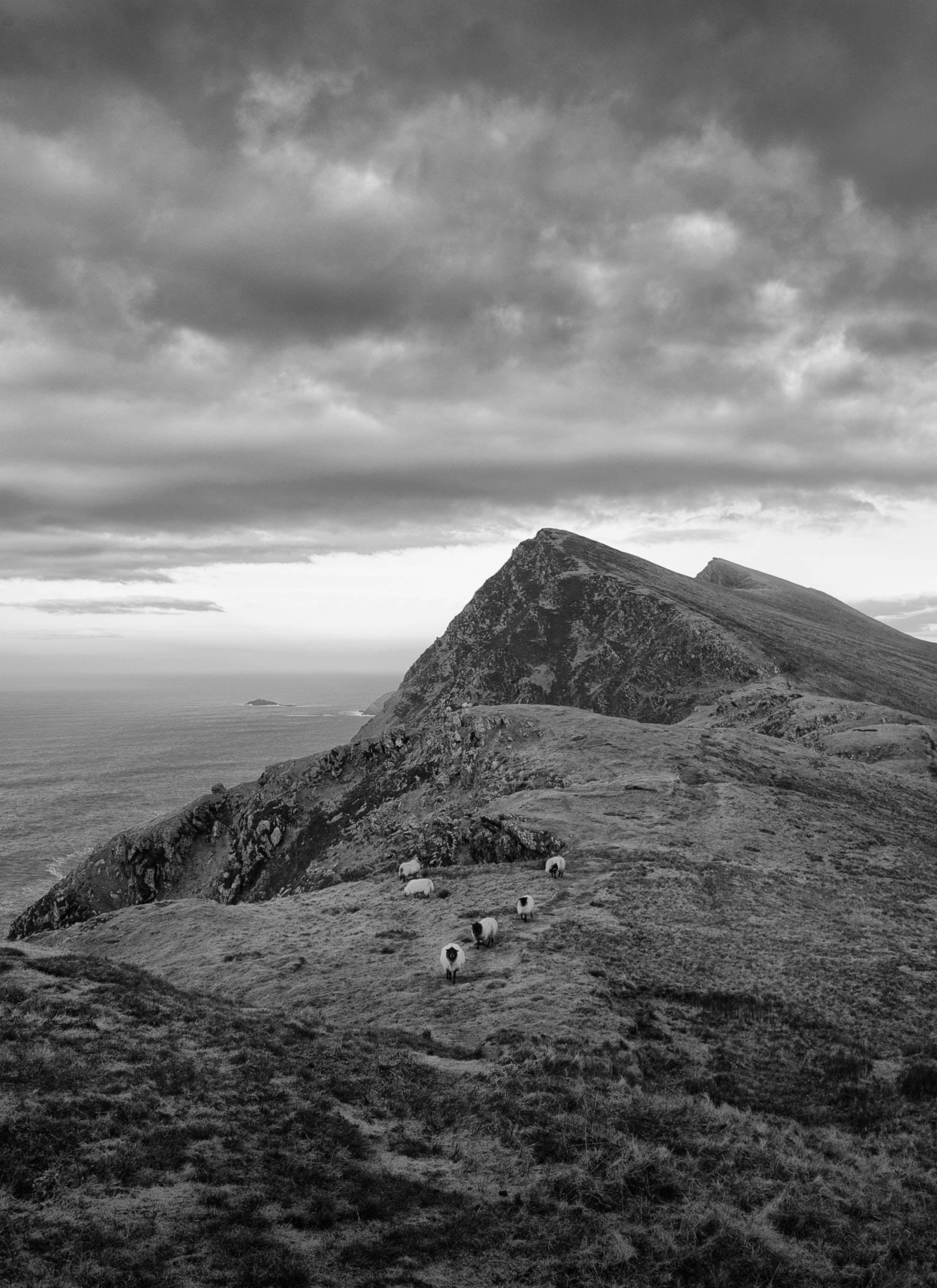 Moyteoge Head