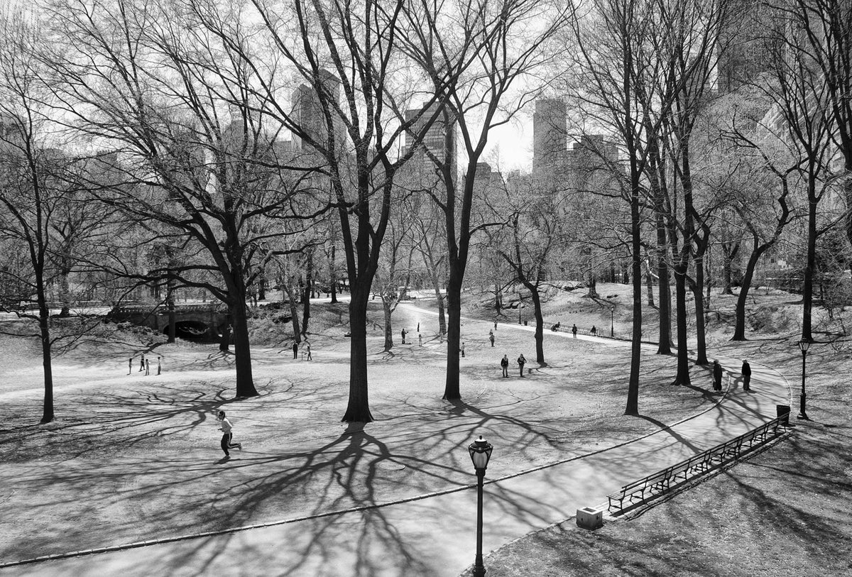  Central Park