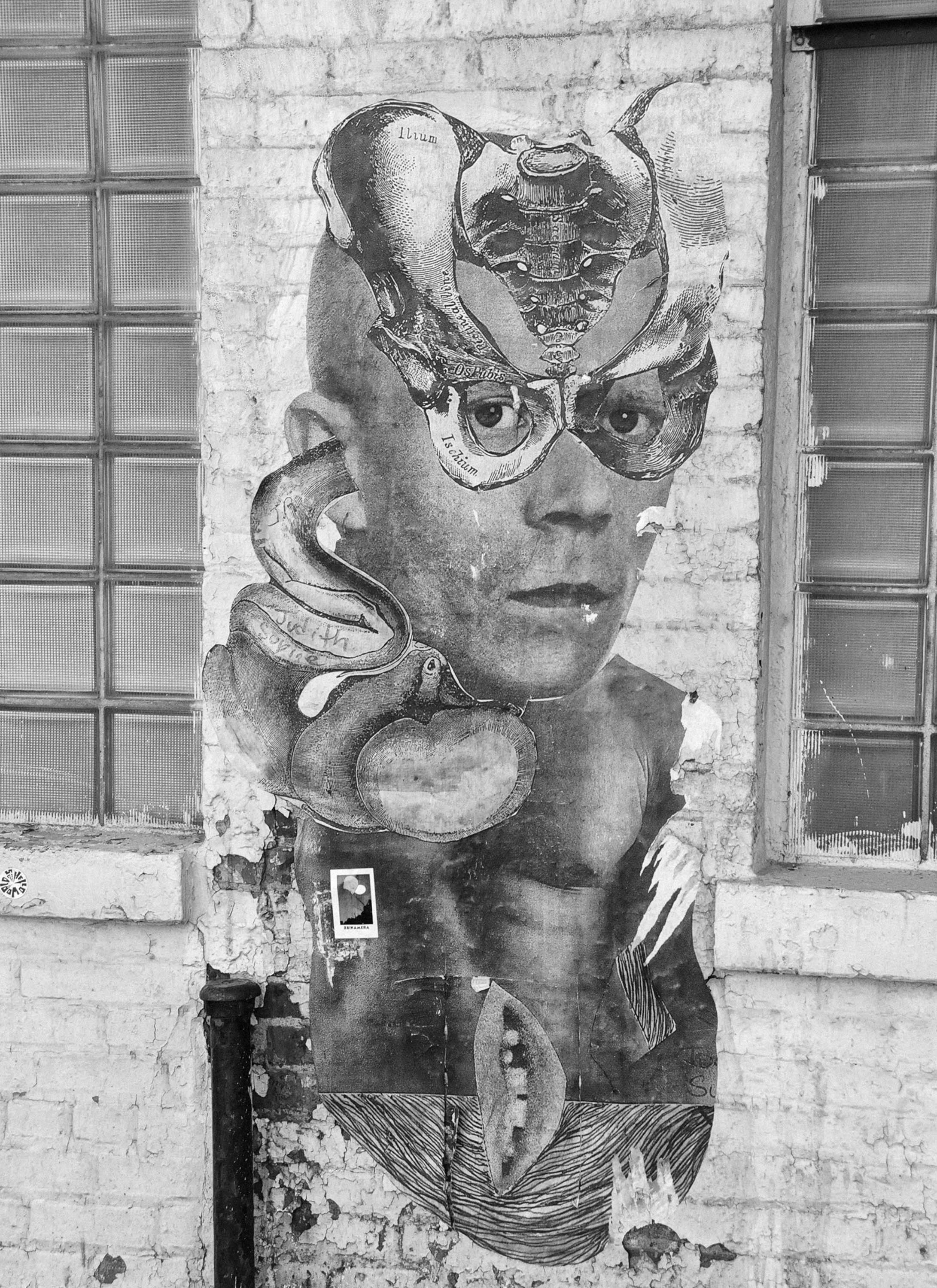 New York Street Art 