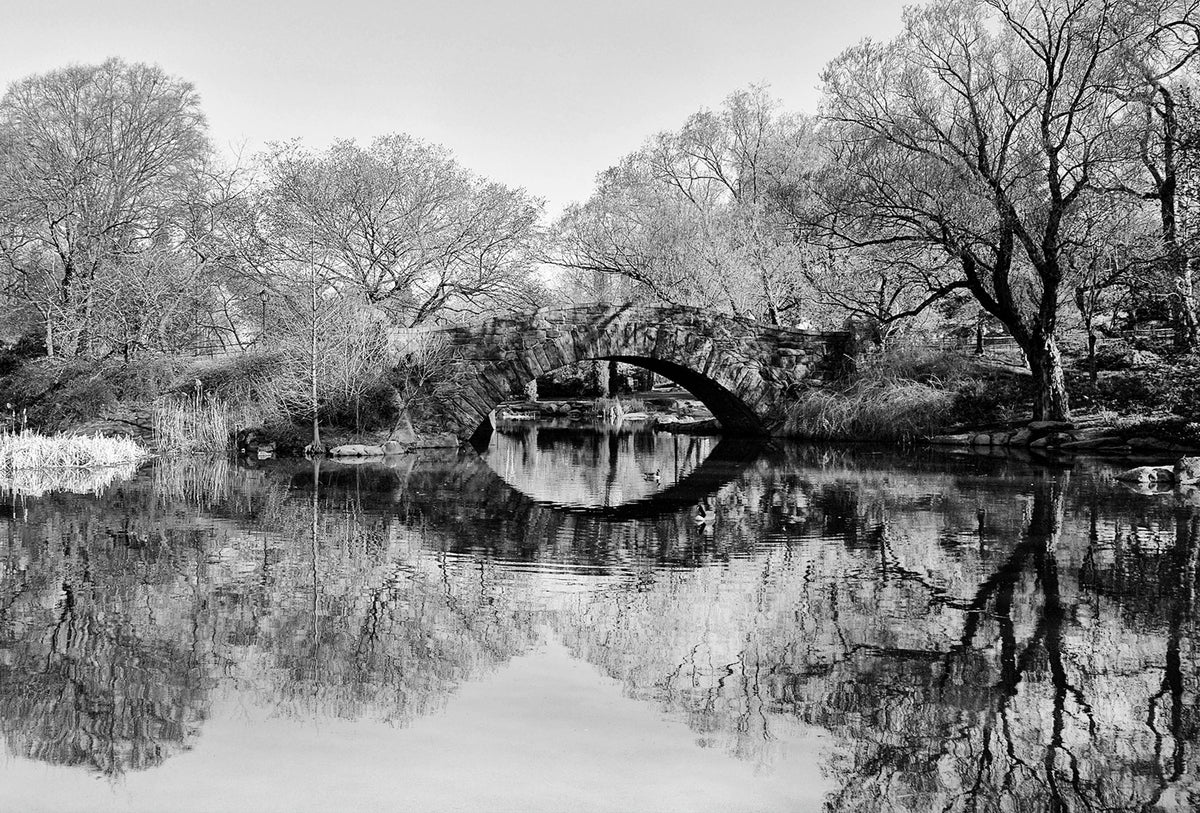Central Park