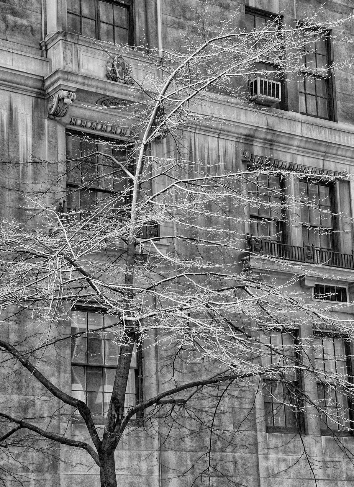 New York Building