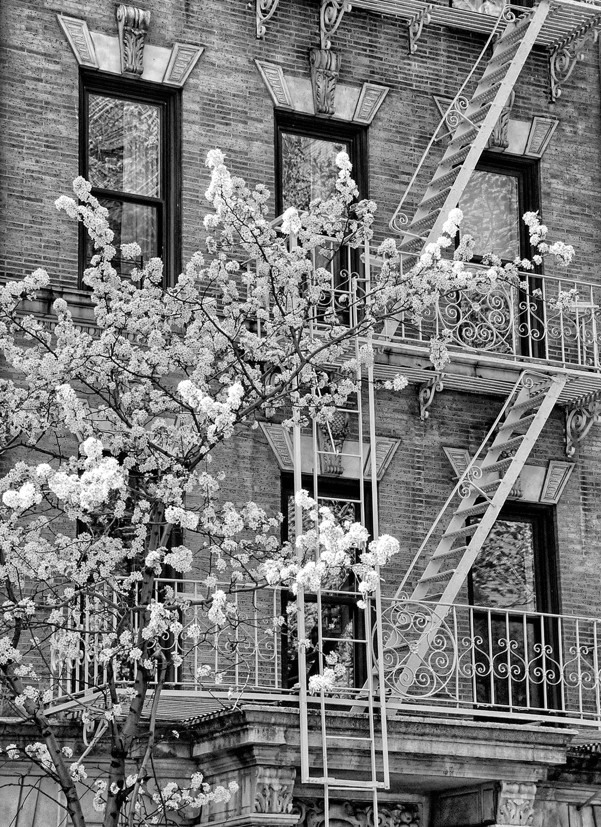 New York Building
