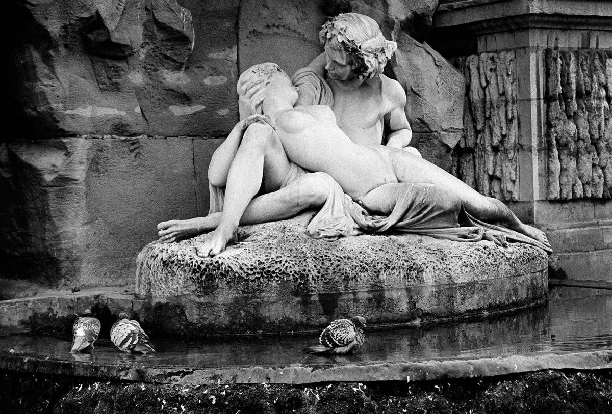 The Medici Fountain 