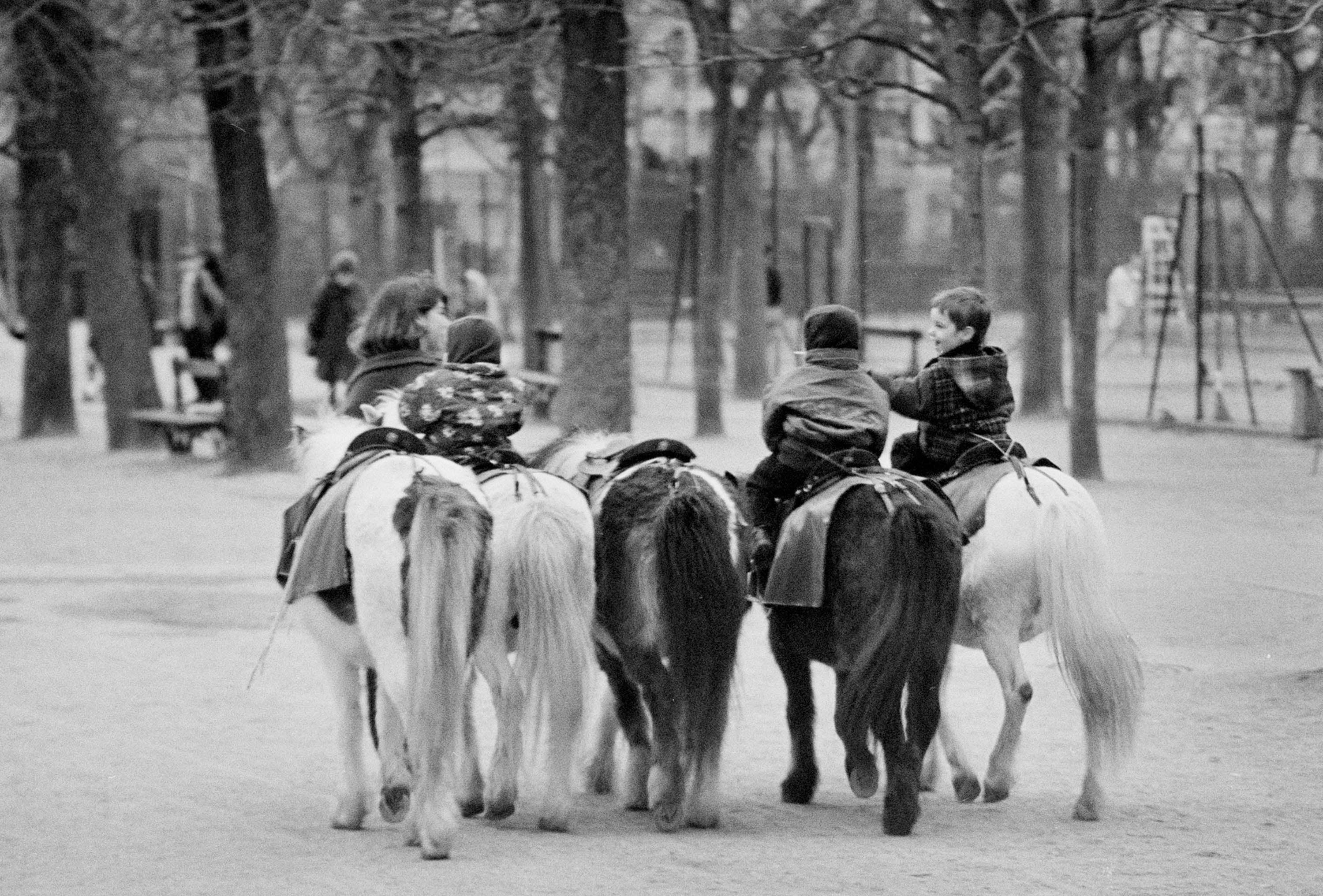 Luxembourg Gardens