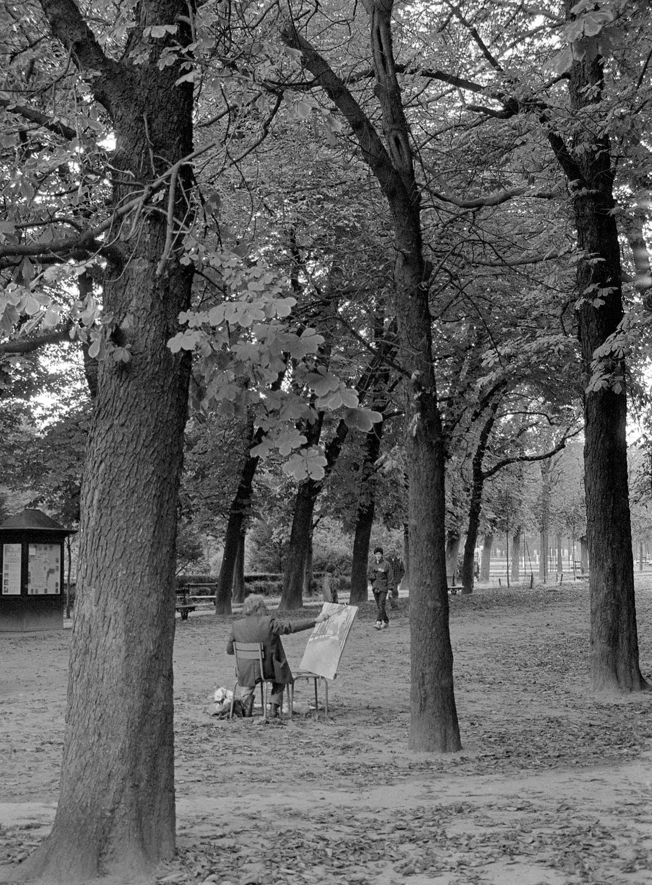 Luxembourg gardens