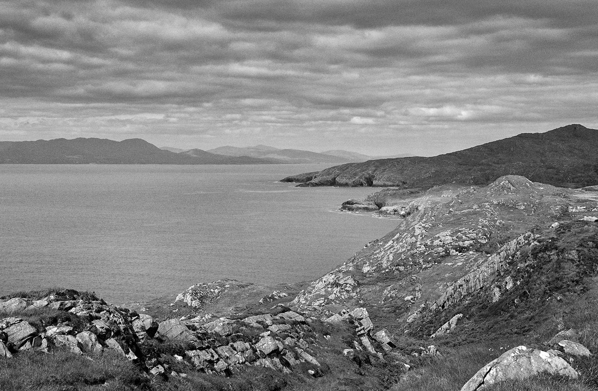 Sheep's Head