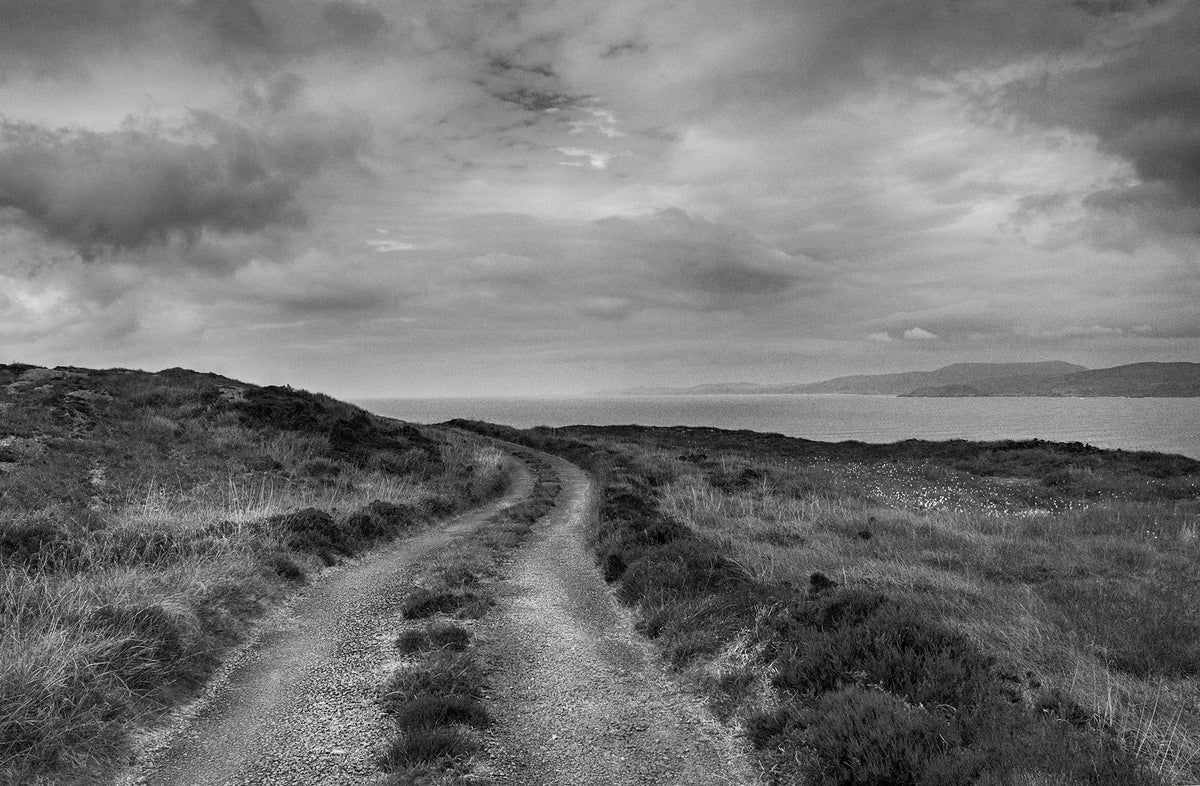 Sheep's Head 