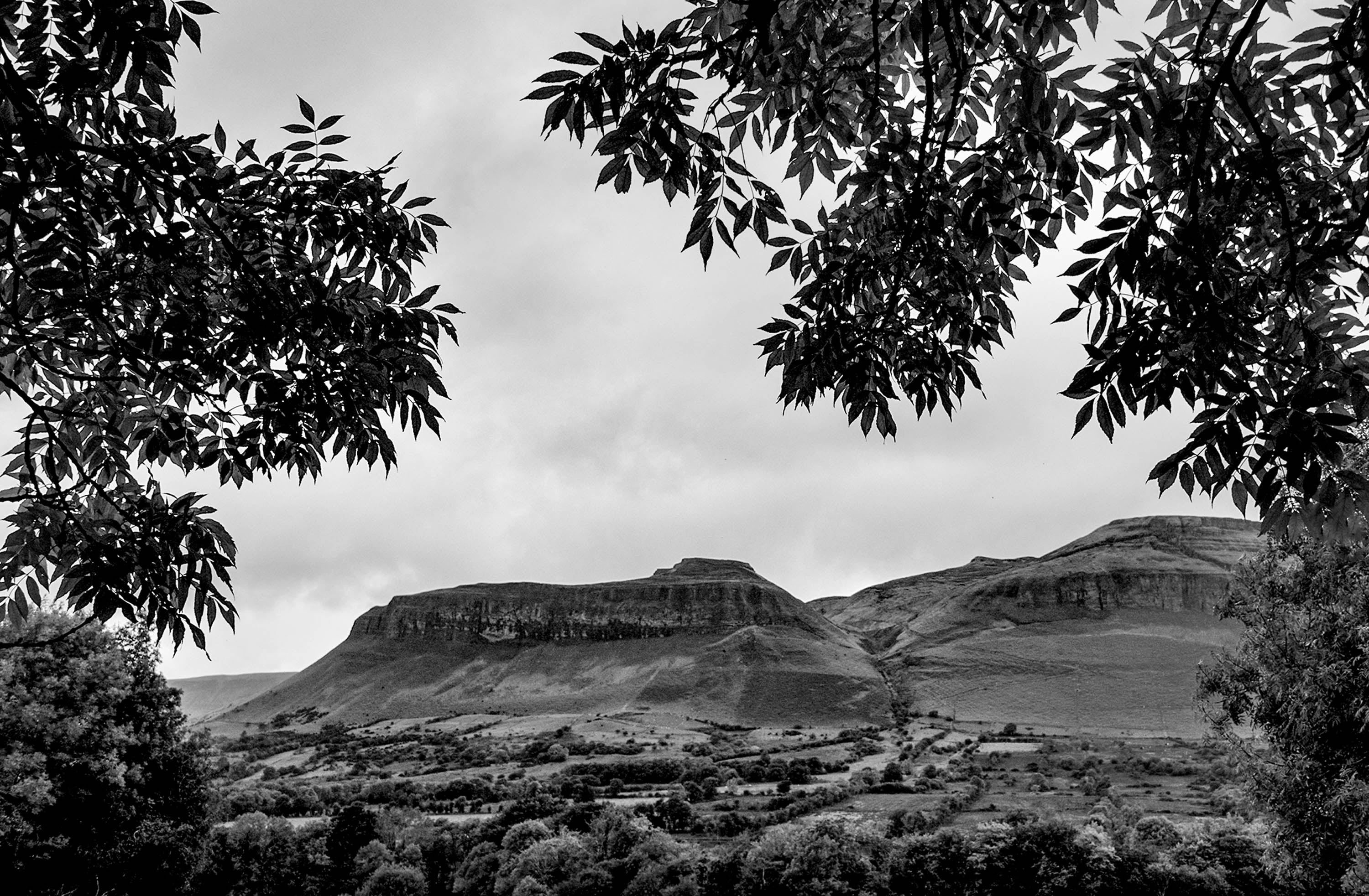 Ben Bulbin