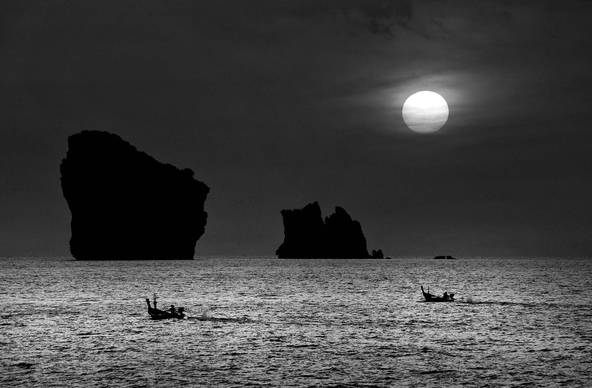 Moonlight & Long-Tails