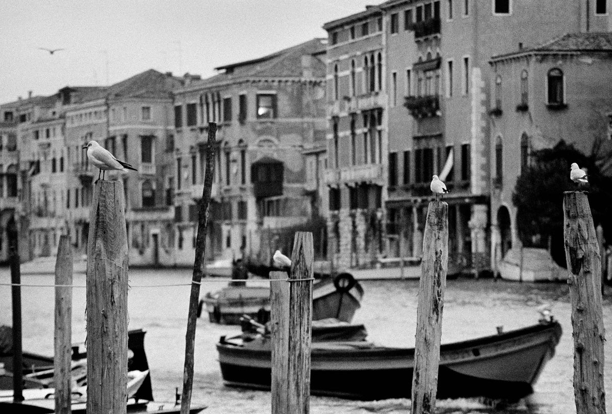 Grand Canal