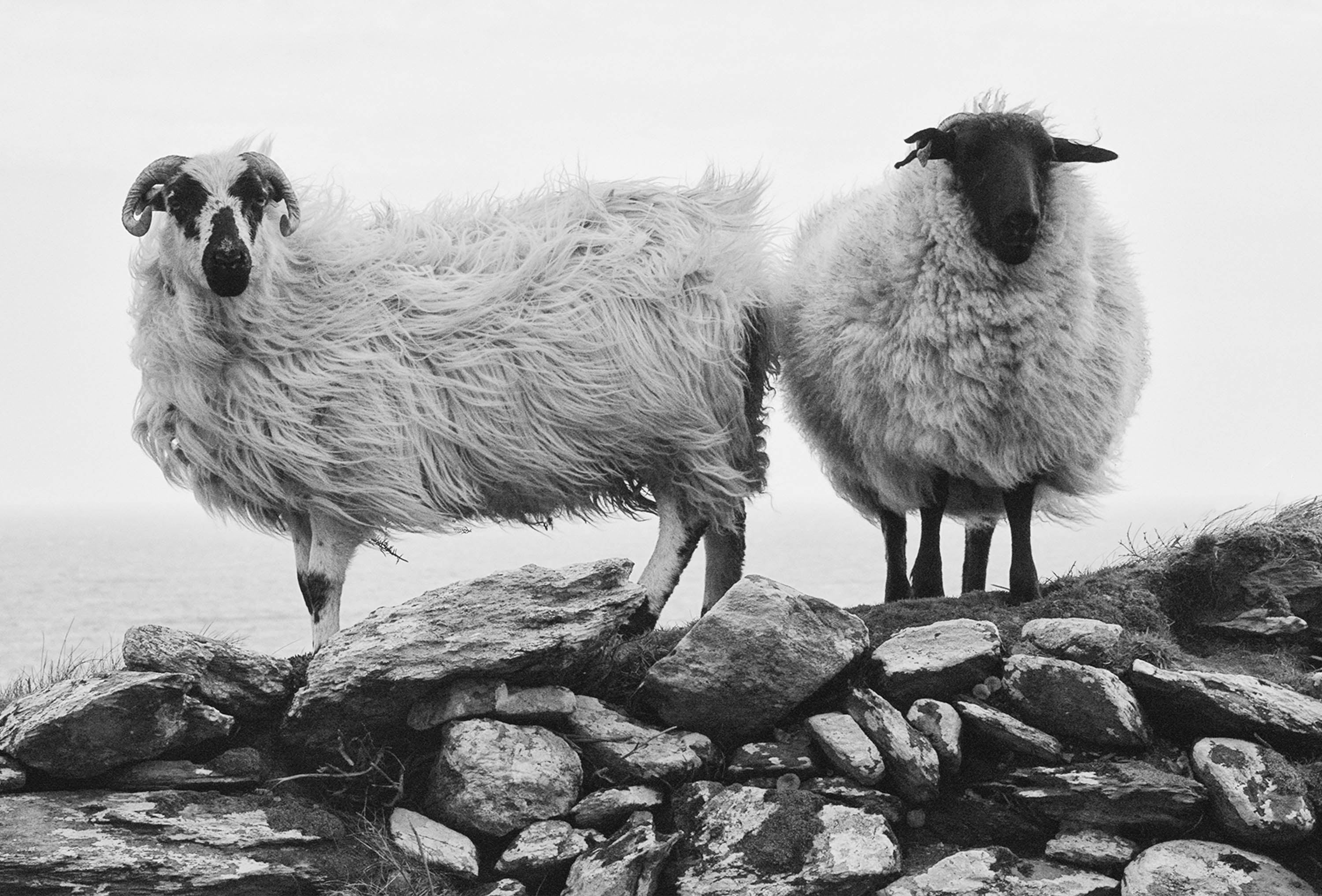  Beara Peninsula
