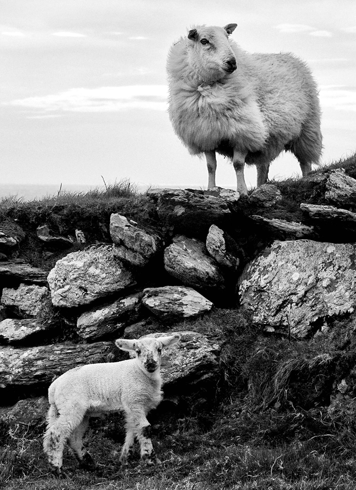  Beara Peninsula