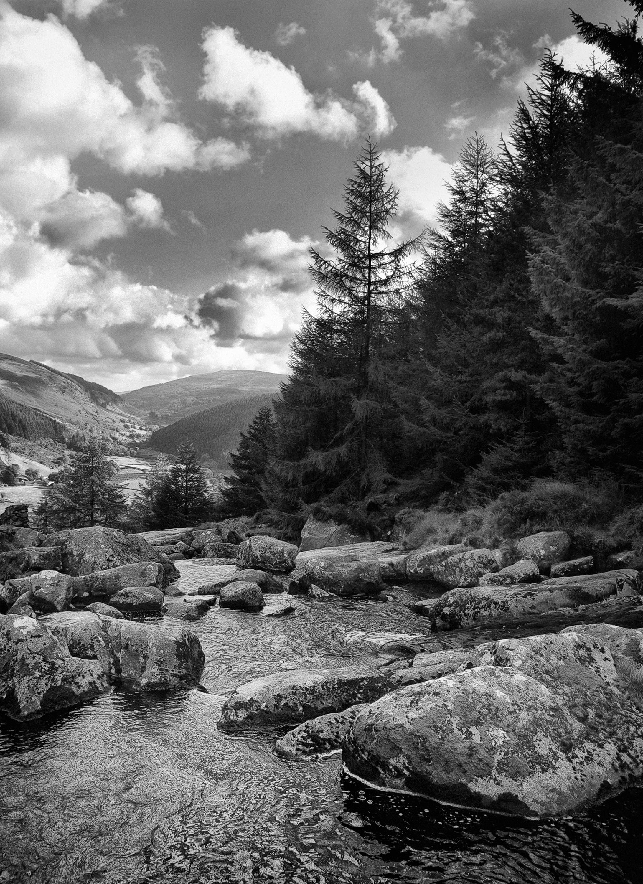 Wicklow