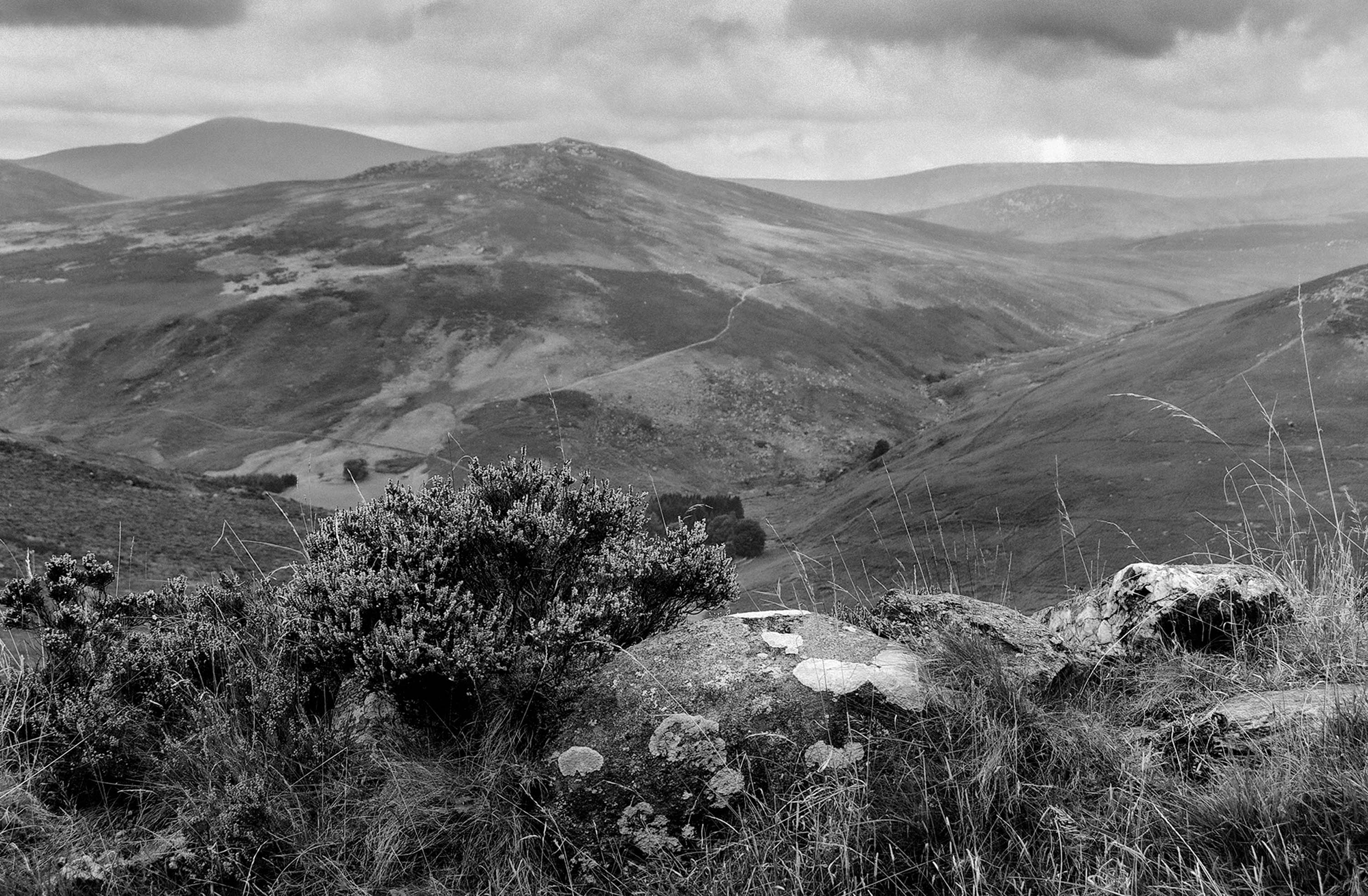 Wicklow