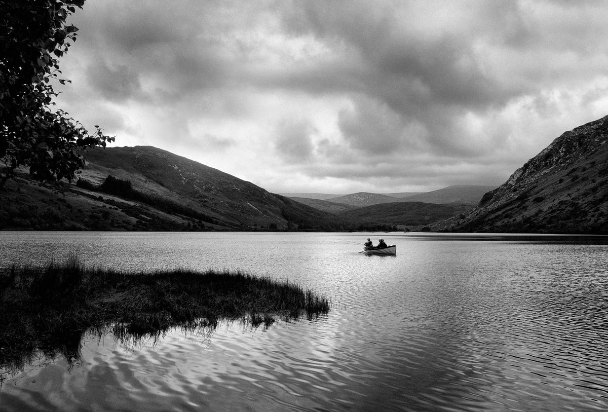 Lough Dan 