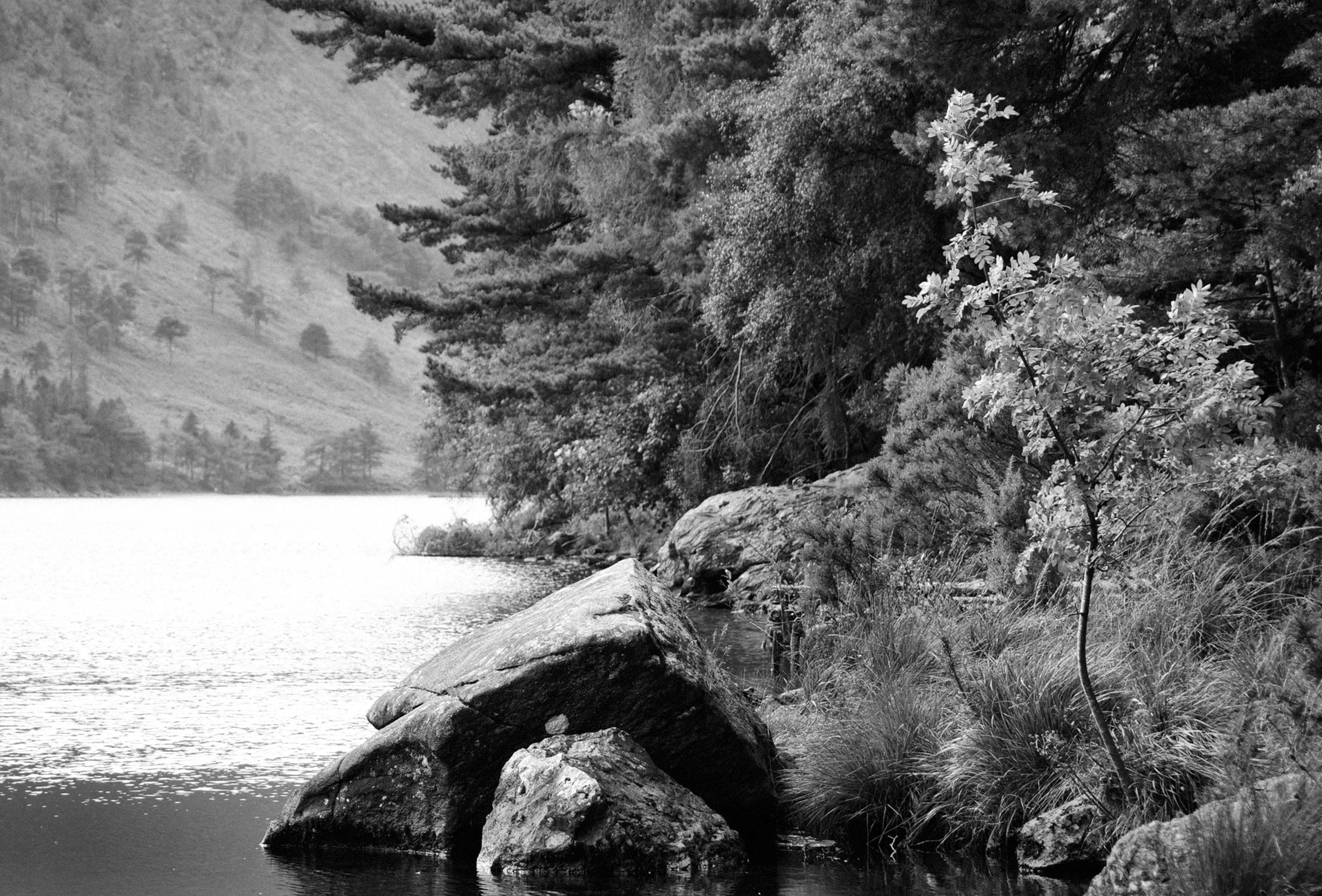 Wicklow