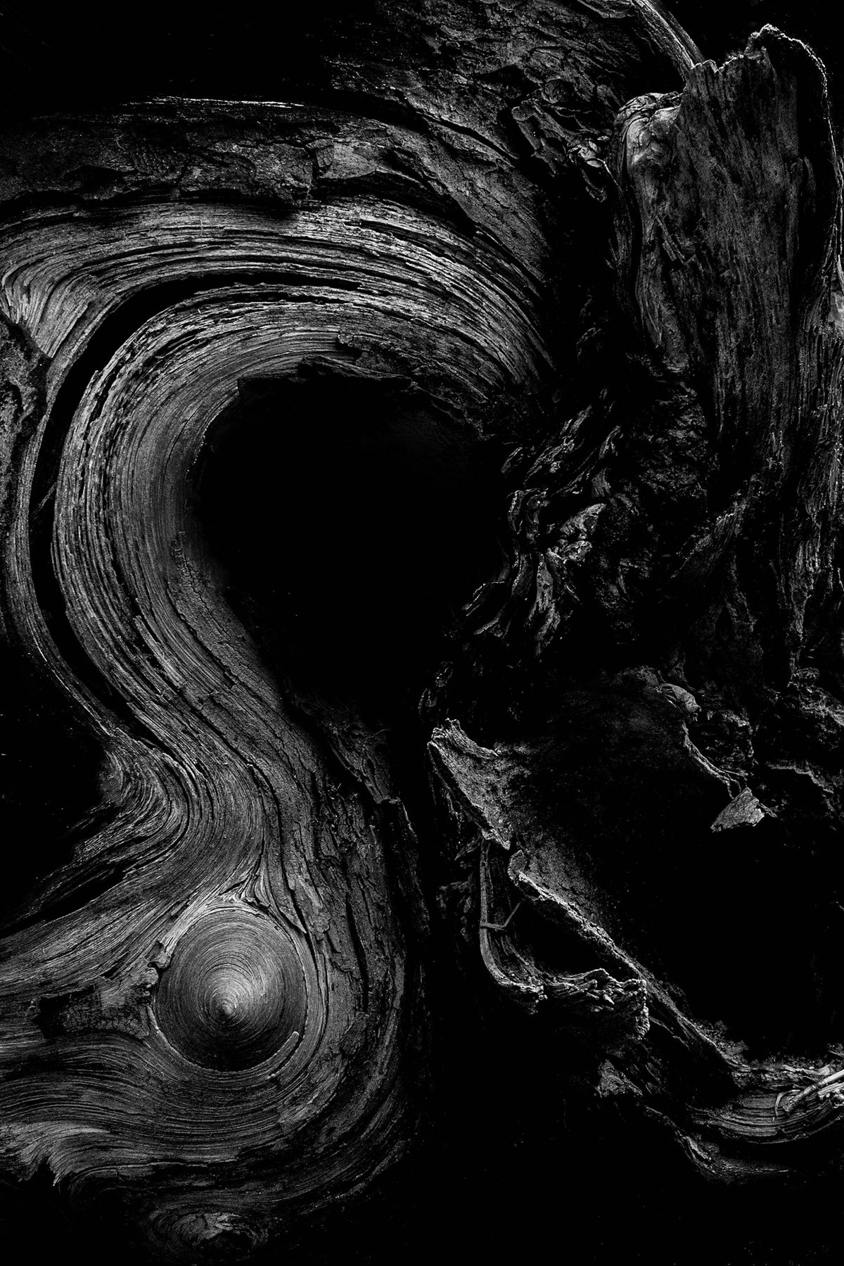 Yosemite Abstract