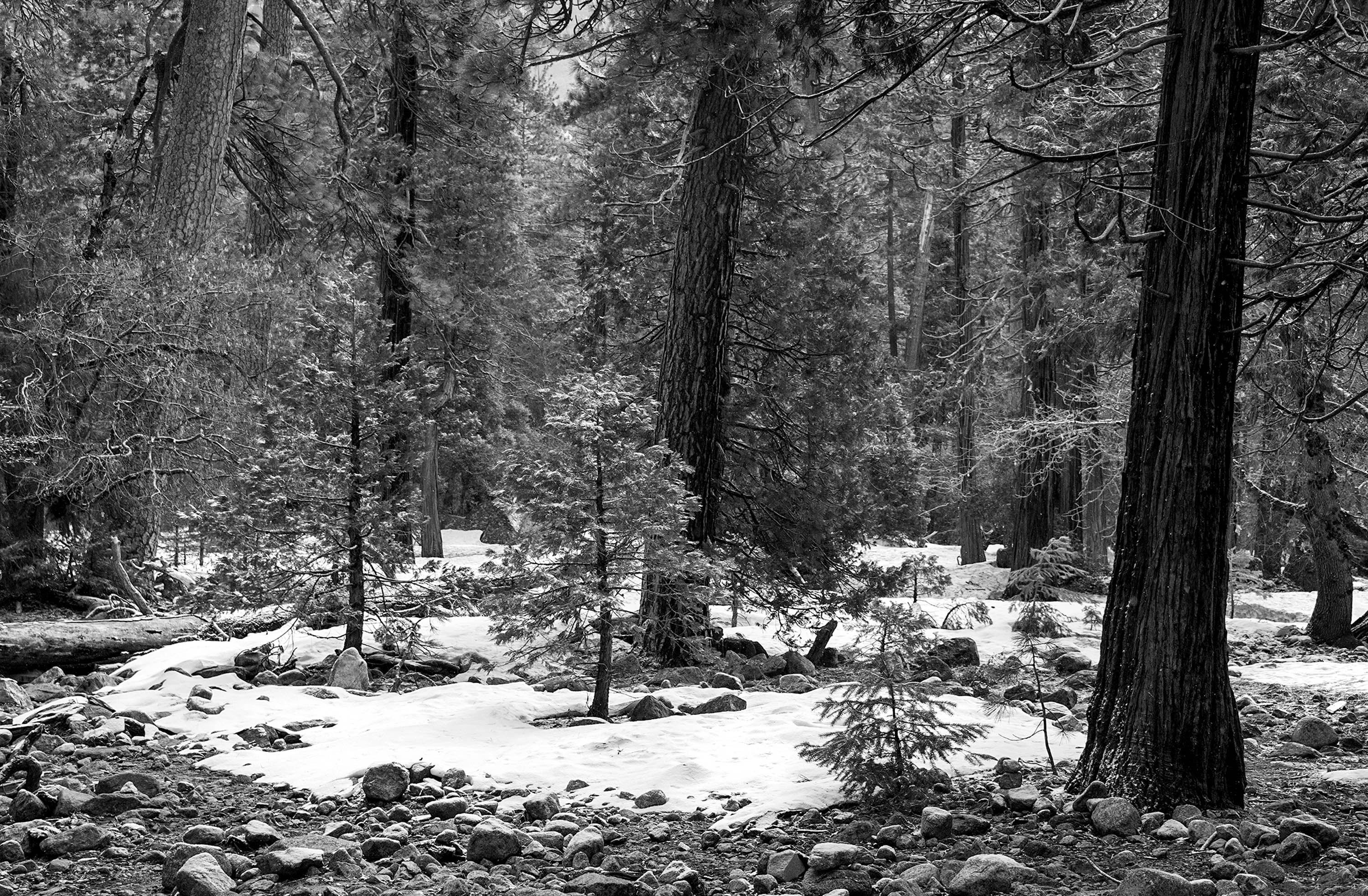 The Remains of Winter