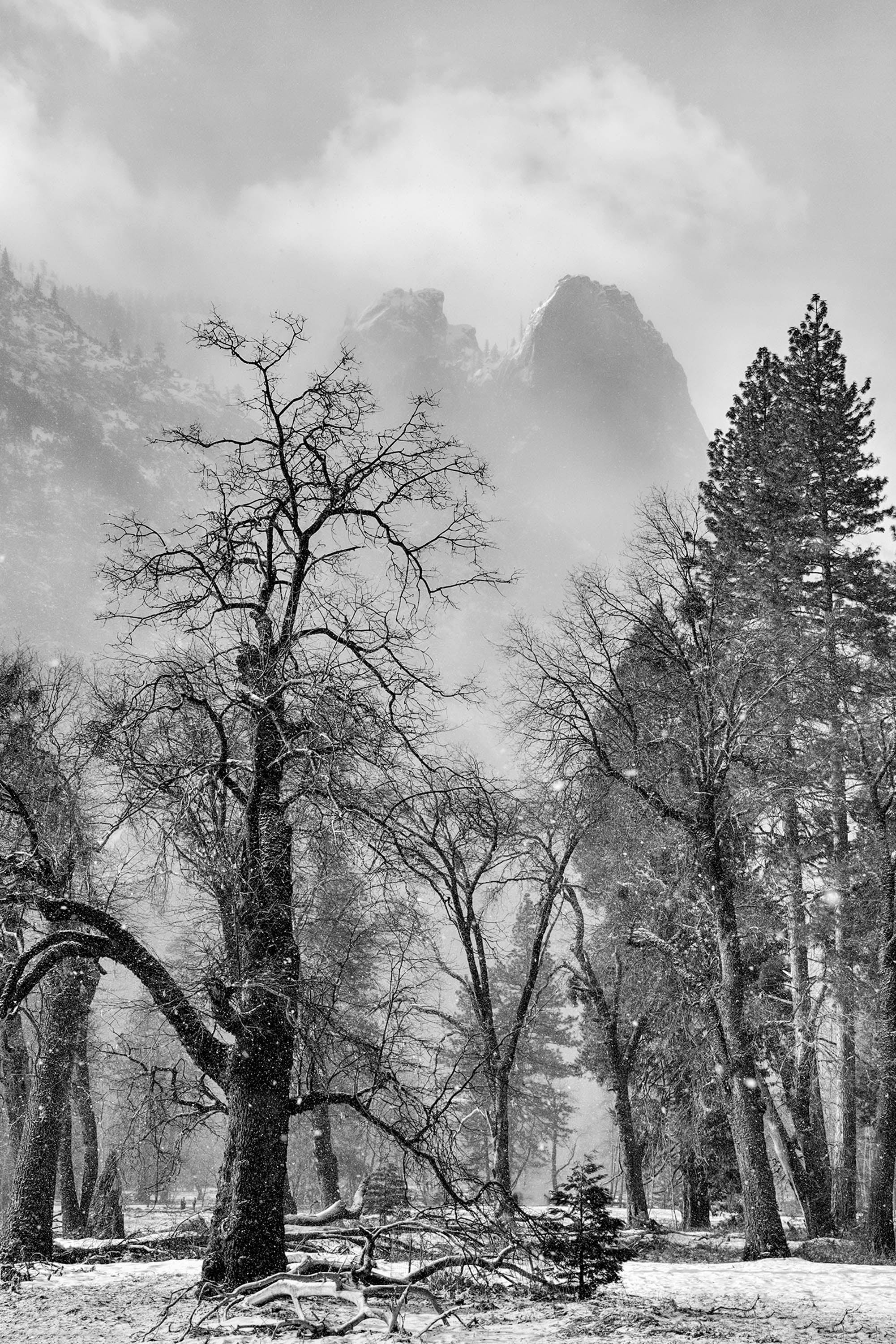 Winter in Yosemite