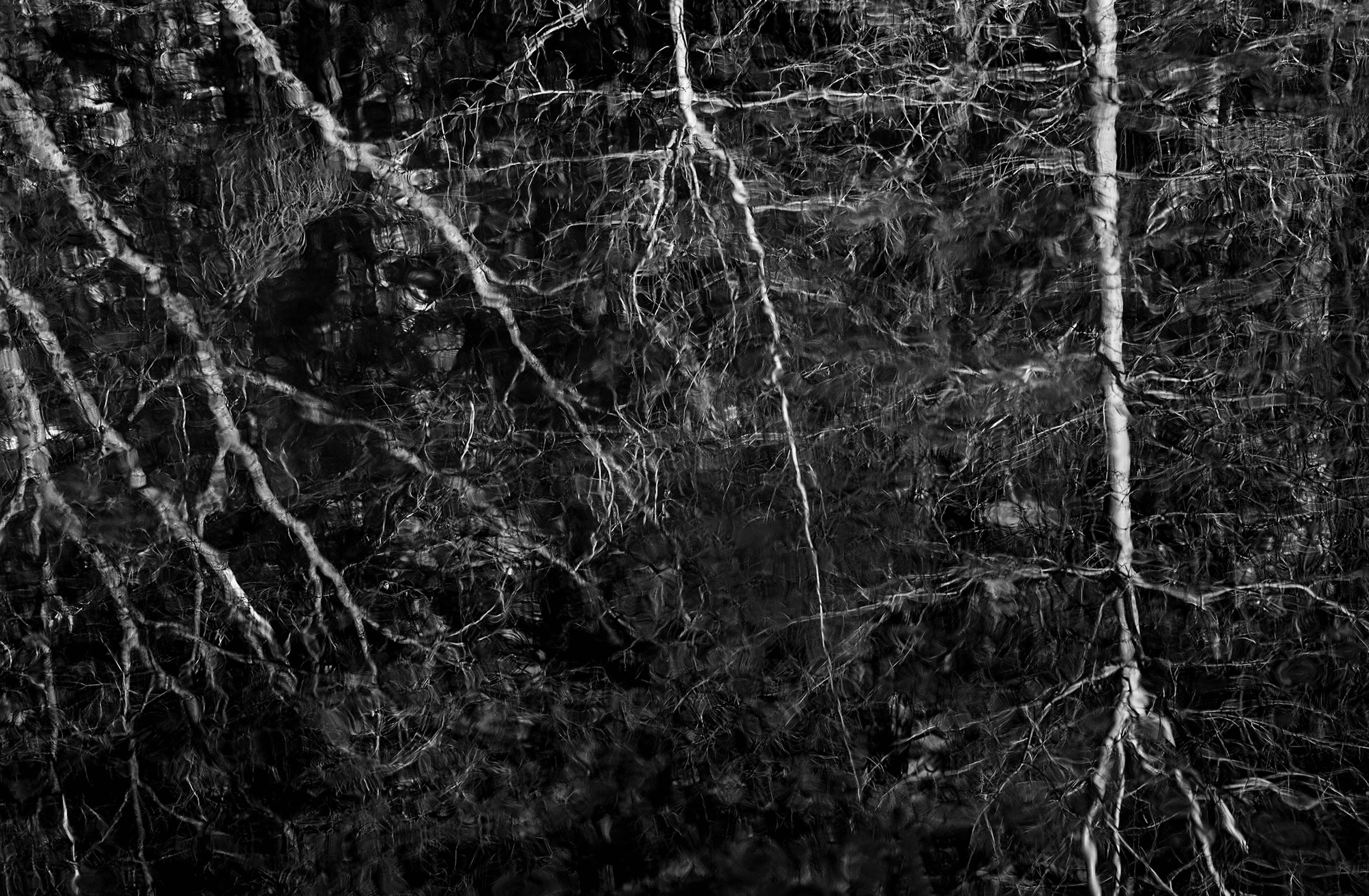 Yosemite Reflections