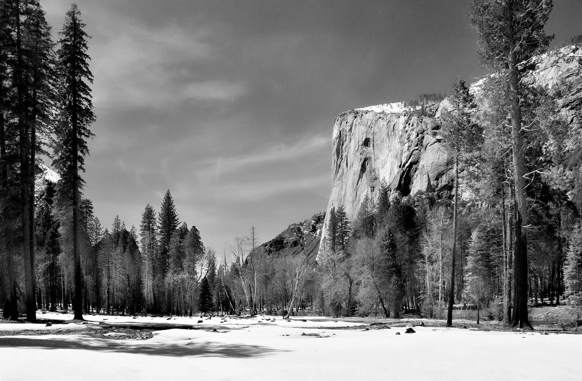 The Remains of Winter