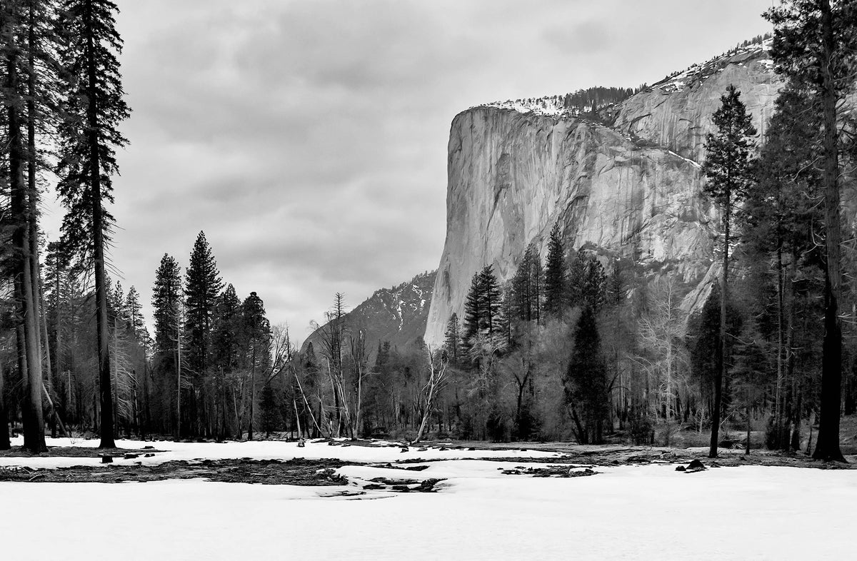 The Remains of Winter