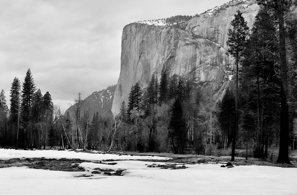 The Remains of Winter