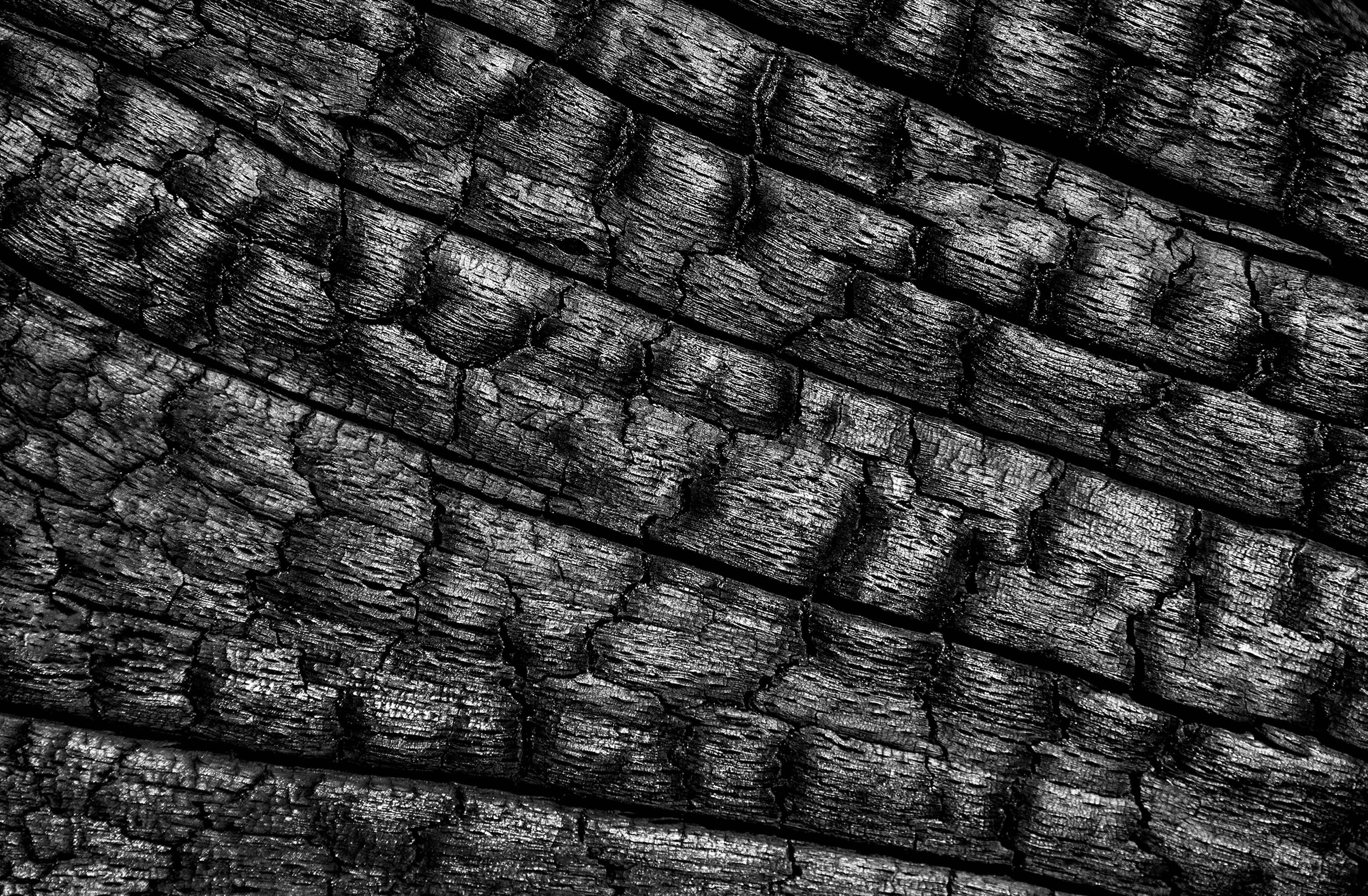 Burnt Bark