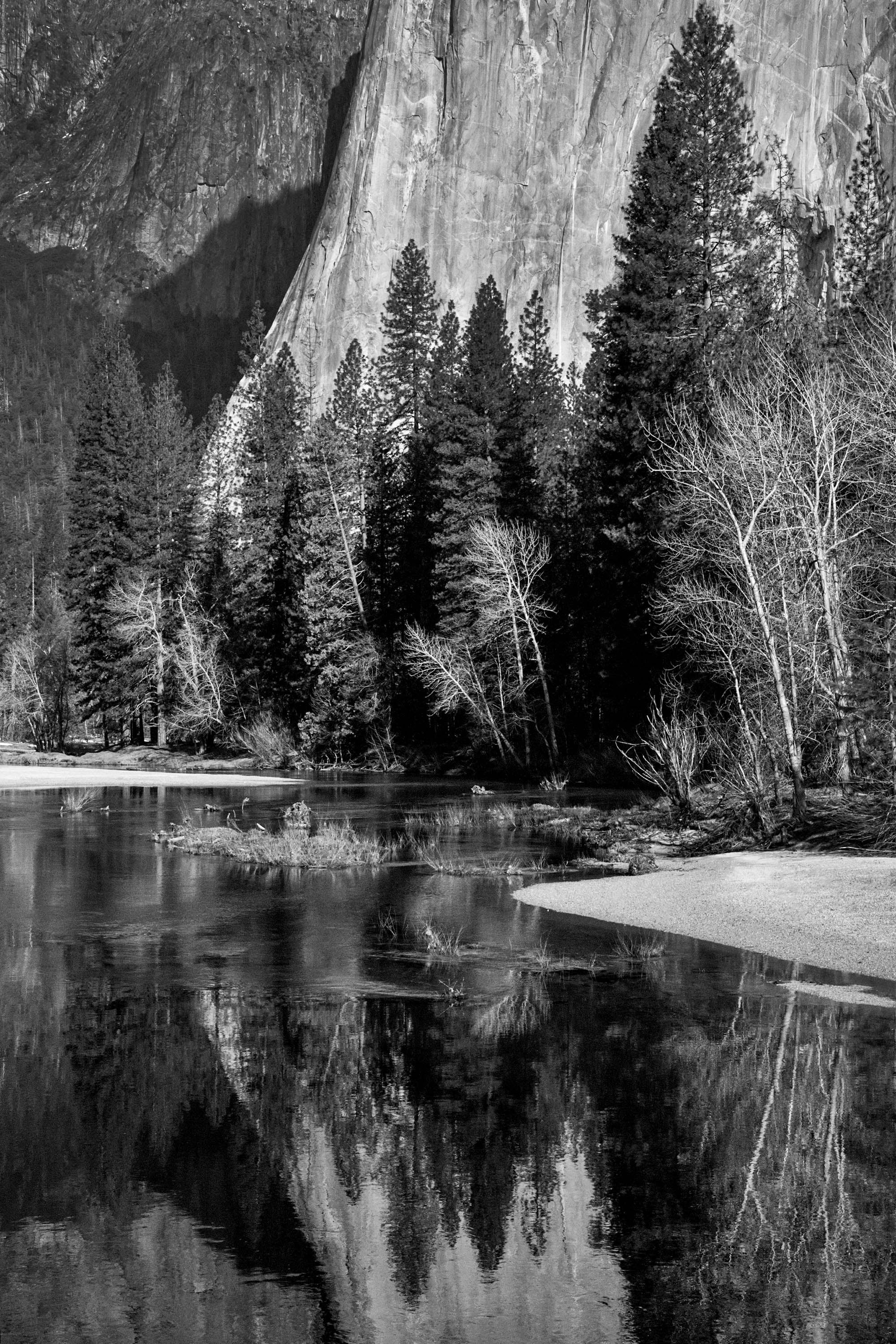 Yosemite Reflections