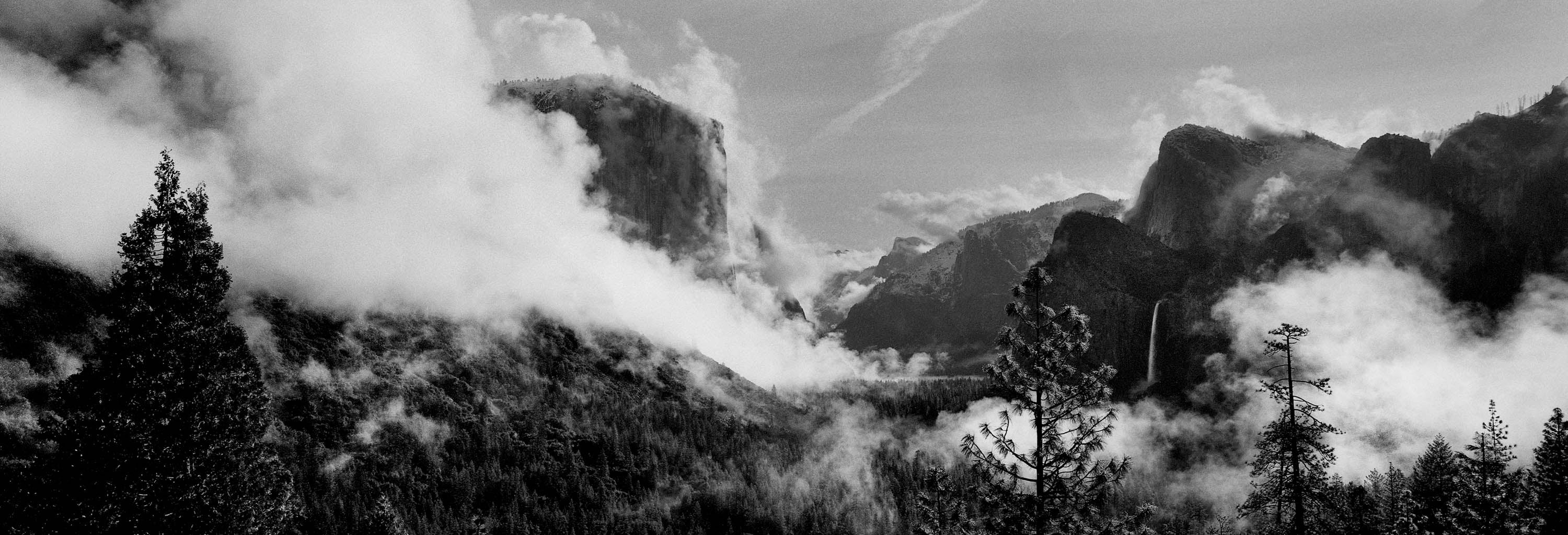 Valley Mist