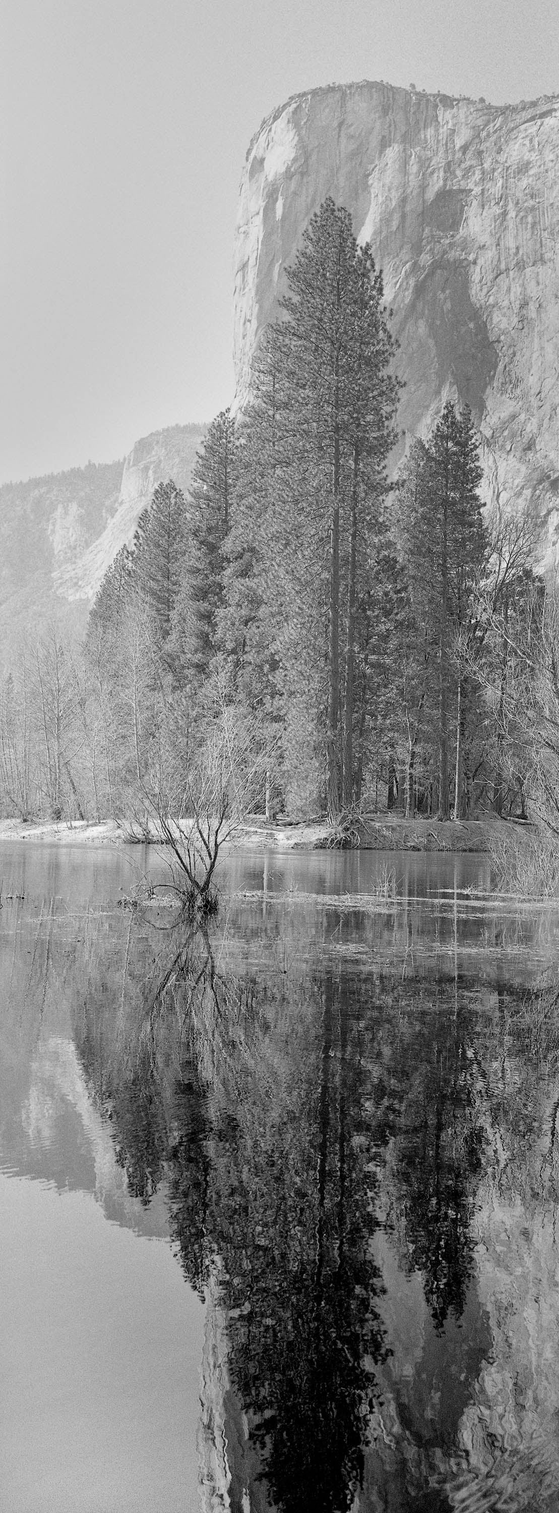 El Capitan reflections