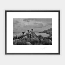 Load image into Gallery viewer, Three Sheep, Beara Peninsula
