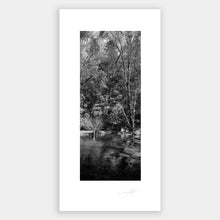 Load image into Gallery viewer, River &amp; Trees