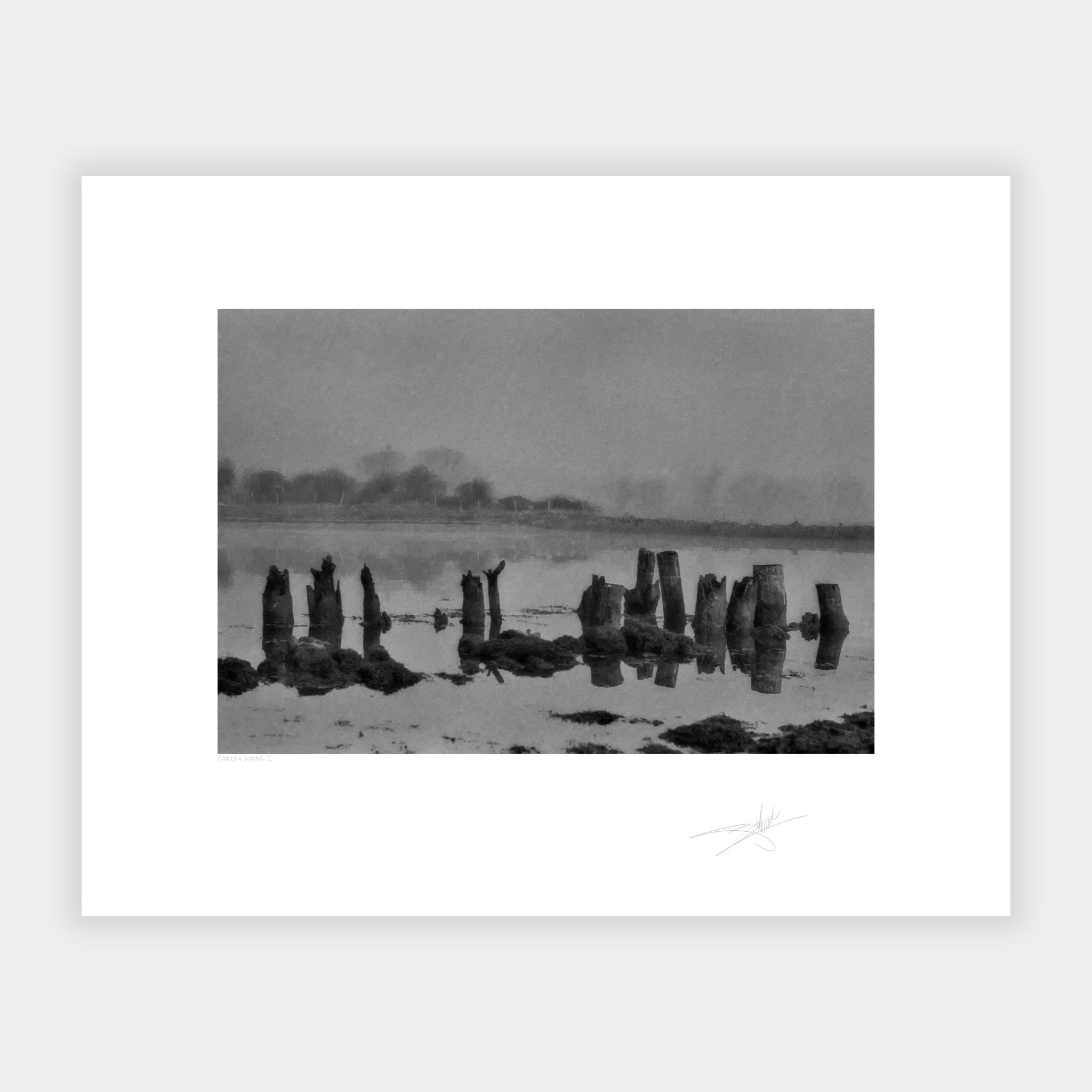 Oysterhaven
