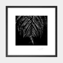 Load image into Gallery viewer, Silver Fern