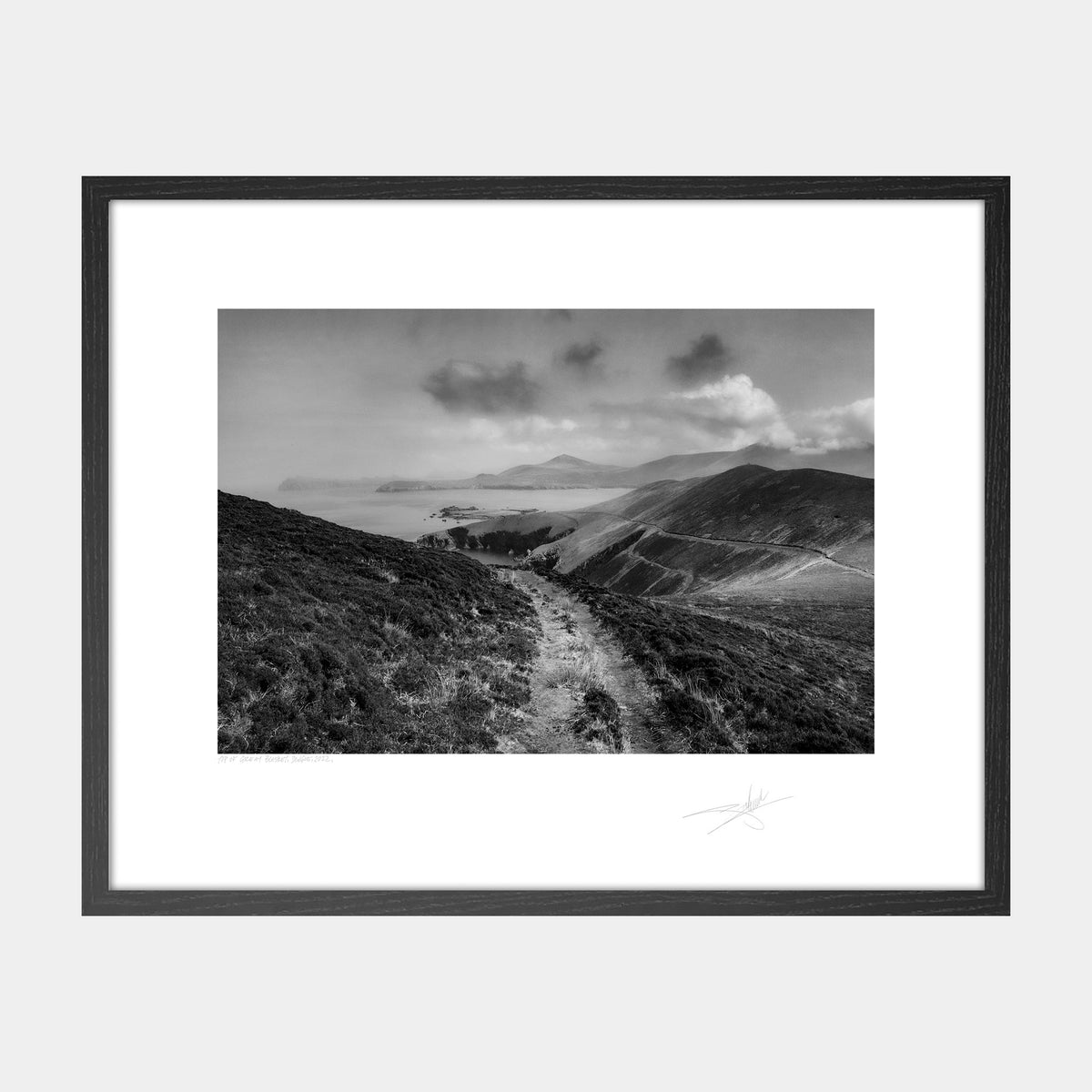 Top of Great Blasket