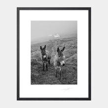 Load image into Gallery viewer, Blasket Island Donkeys