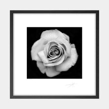 Load image into Gallery viewer, Rain Drops