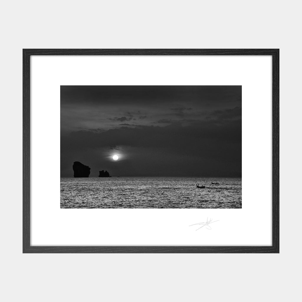 Moonlight & Long-Tails