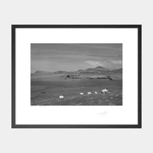 Load image into Gallery viewer, Blasket Island Sheep