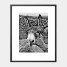 Load image into Gallery viewer, Donkey