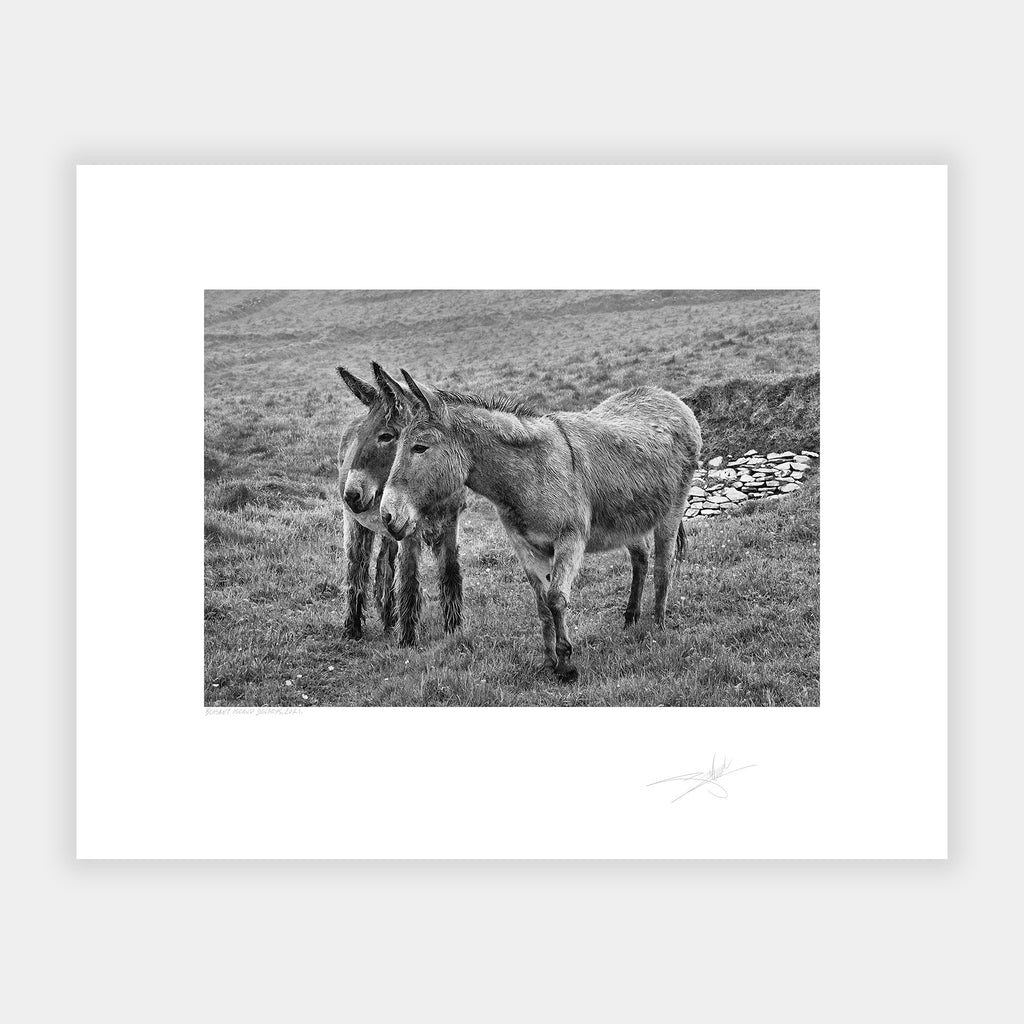 Blasket Islands Kerry Ireland 2021