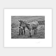 Load image into Gallery viewer, Blasket Islands Kerry Ireland 2021