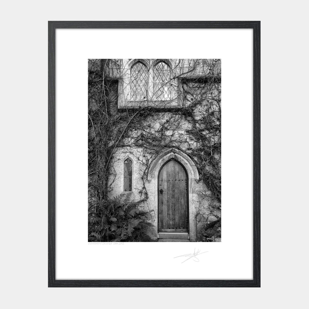 University College Cork